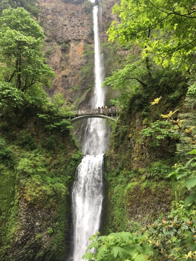 Lugar Multnomah Falls