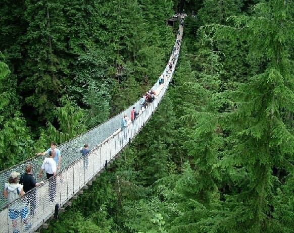 Lugar Capilano Suspension Bridge