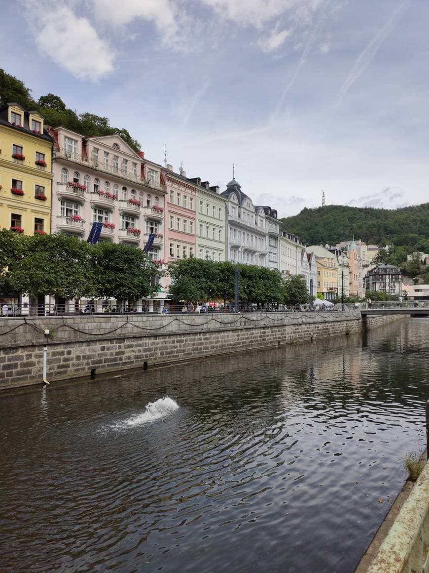 Restaurantes Karlovy Vary