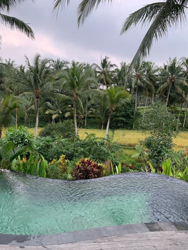 Lugar Calma Ubud ( Suite & Villas)