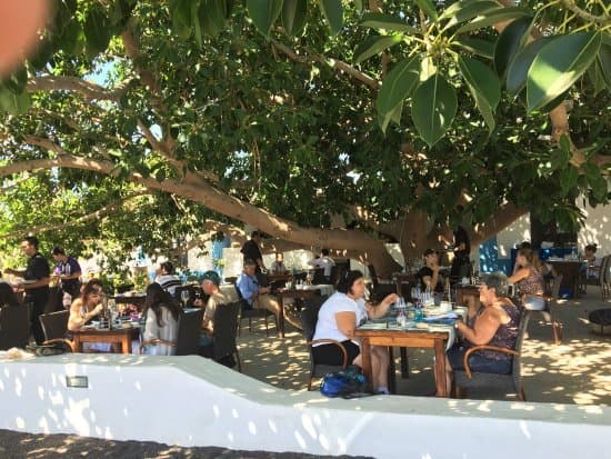 Restaurantes La Bodega de Santiago