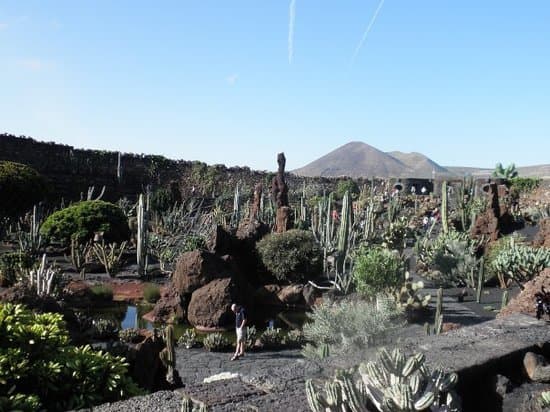 Lugar Jardín de Cactus de Lanzarote