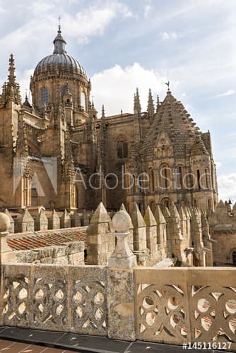 Lugar Catedral de Salamanca