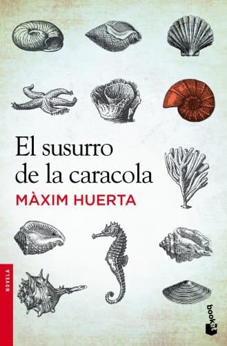 Book El susurro de la caracola