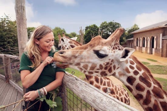 Lugar London Zoo