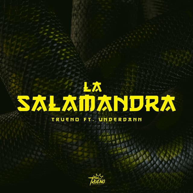 Canción La Salamandra