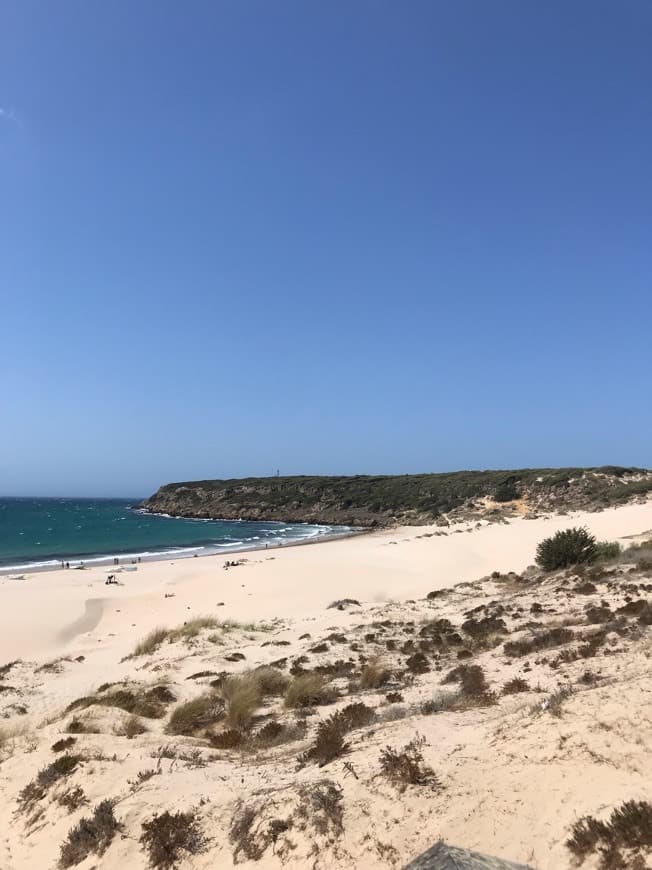 Lugar Playa de Bolonia