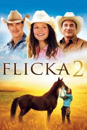 Movie Flicka 2