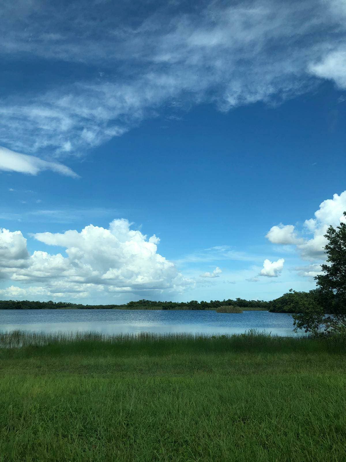 Place Everglades National Parks Visitor Center