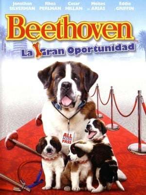 Película Beethoven's Big Break