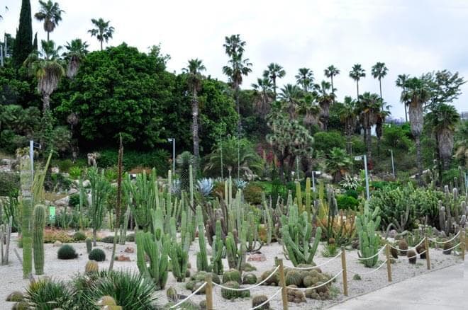 Lugar Jardines de Mossen Costa i Llobera