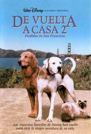 Movie Homeward Bound II: Lost in San Francisco