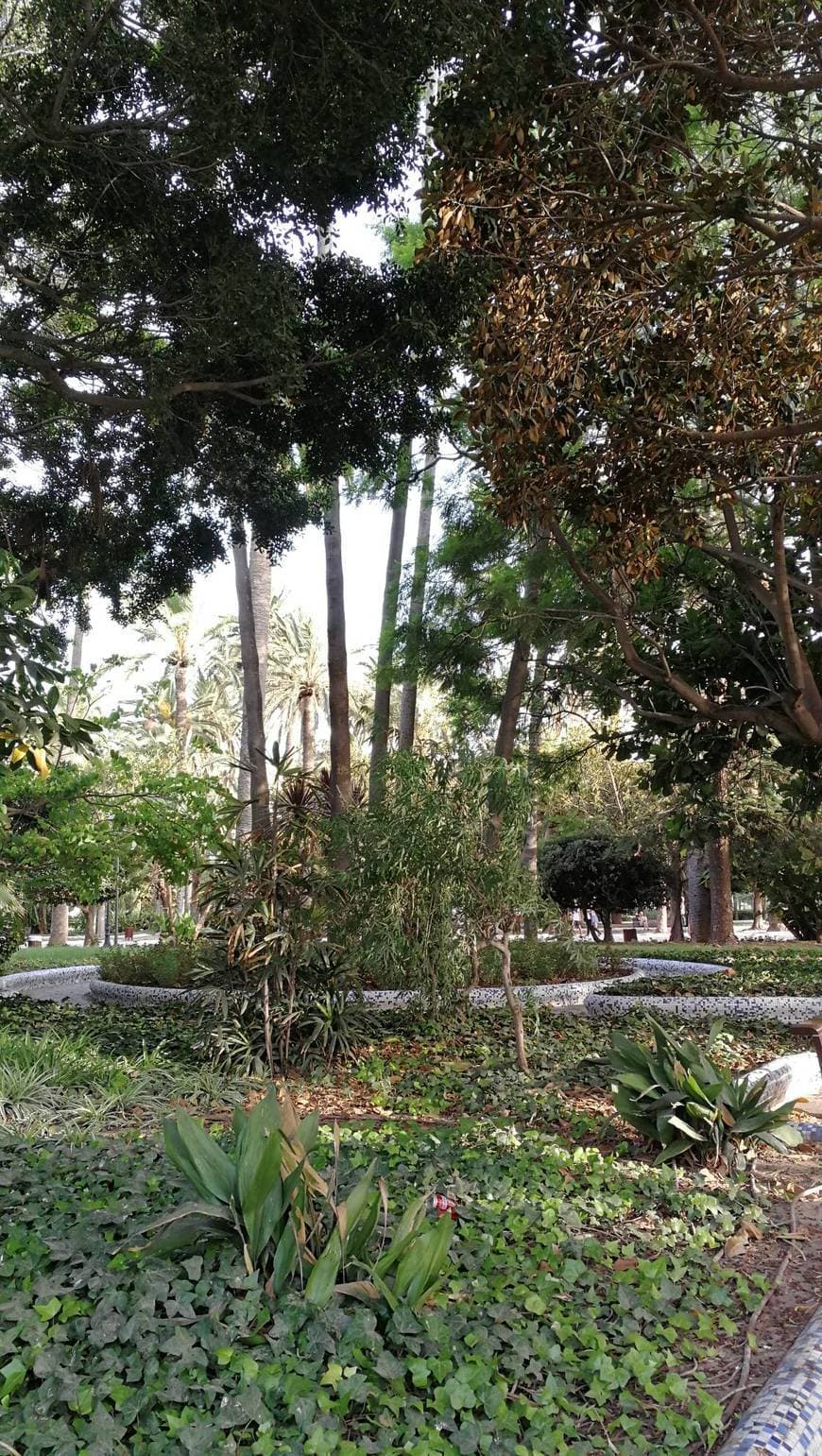 Lugar Parque Hernández