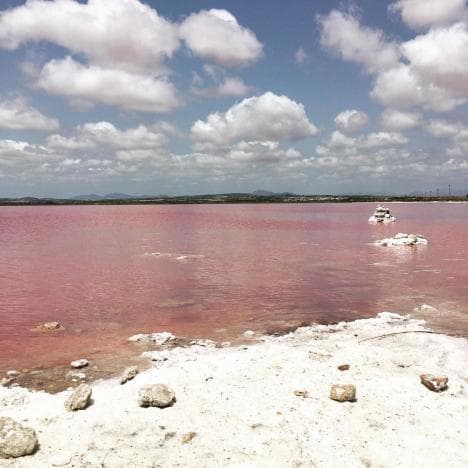 Lugar Laguna Rosa