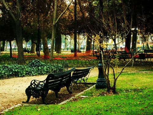 Place Parque Forestal