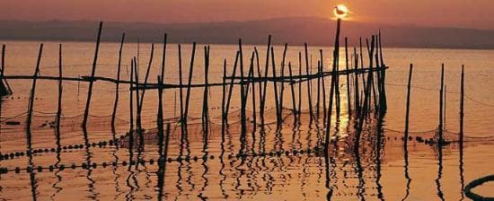 Lugar Albufera de Valencia