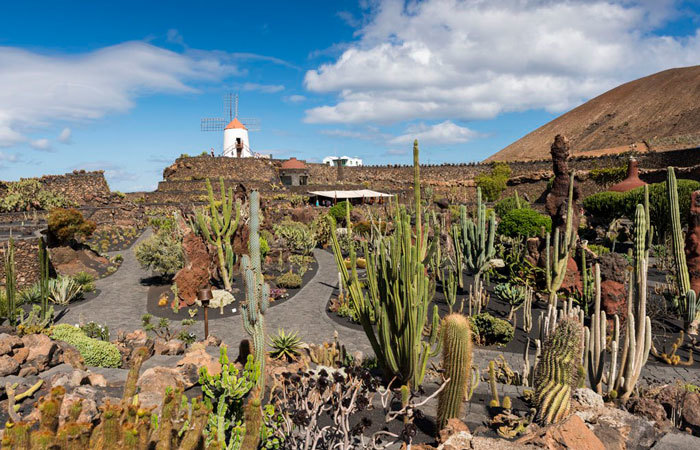 Lugar Jardín de Cactus de Lanzarote