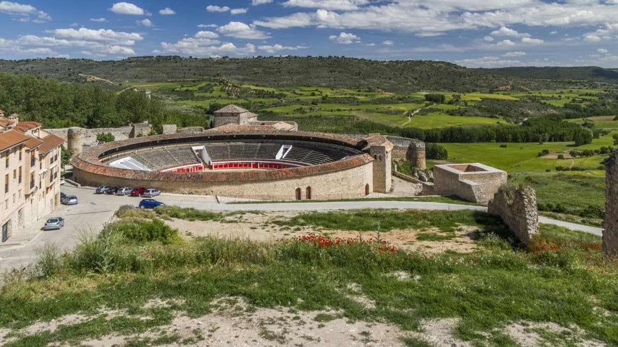 Place Plaza de Toros La Muralla