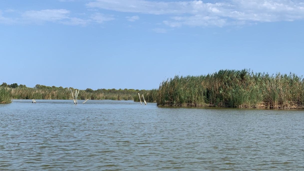 Place Parc Natural De l'Albufera