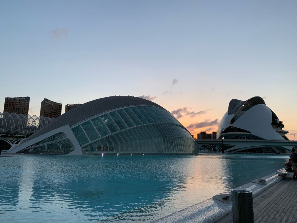 Place Ciudad de las Artes y las Ciencias