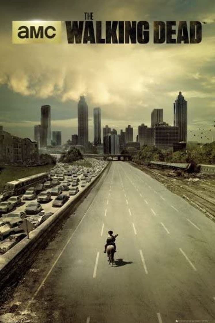 Home Grupo Erik Editores The Walking Dead City Poster