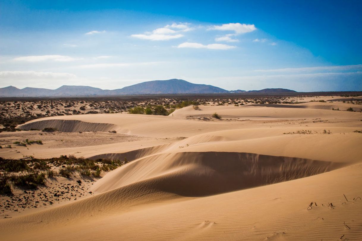 Place Dunas de Corralejo