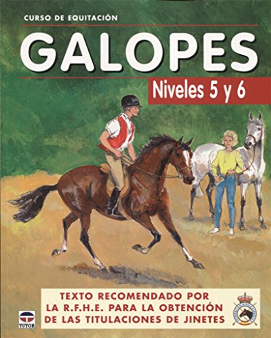 Libro CURSO DE EQUITACIÓN. GALOPES NIVELES 5 Y 6