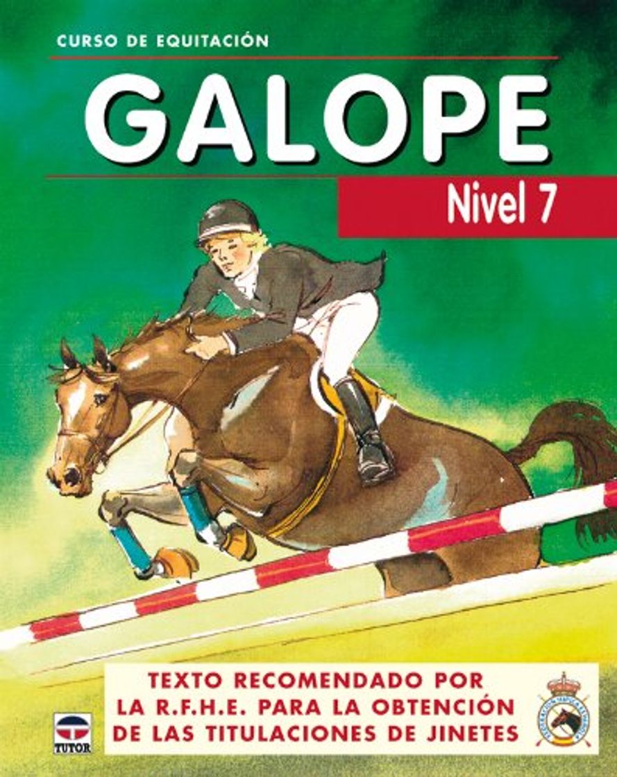 Libro CURSO DE EQUITACION GALOPE. NIVEL 7