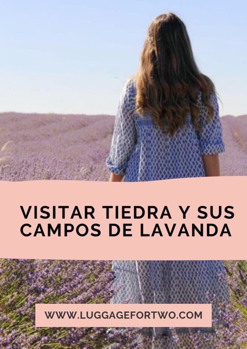 Fashion VISITAR TIEDRA Y SUS CAMPOS DE LAVANDA