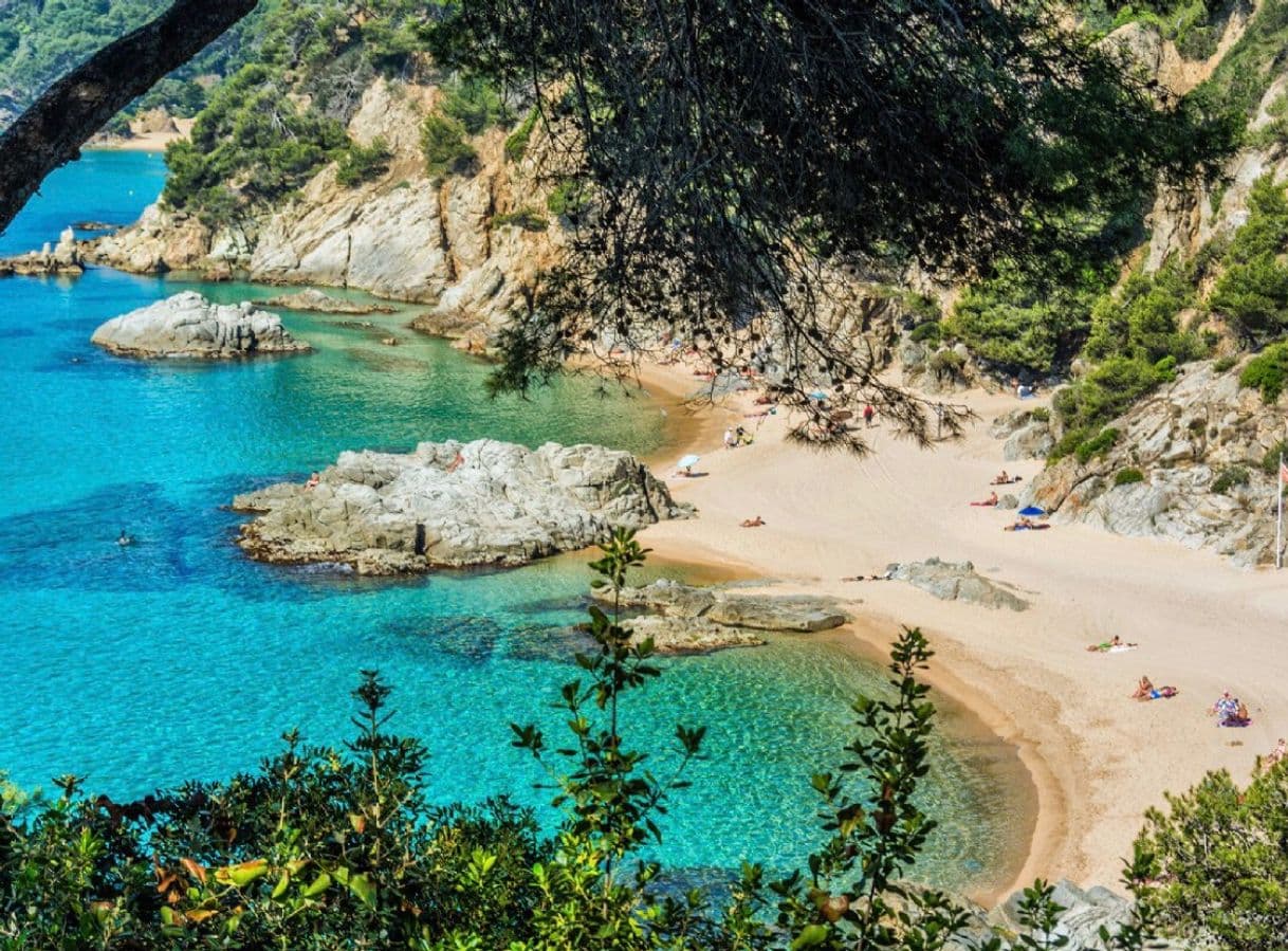 Place Cala sa Boadella