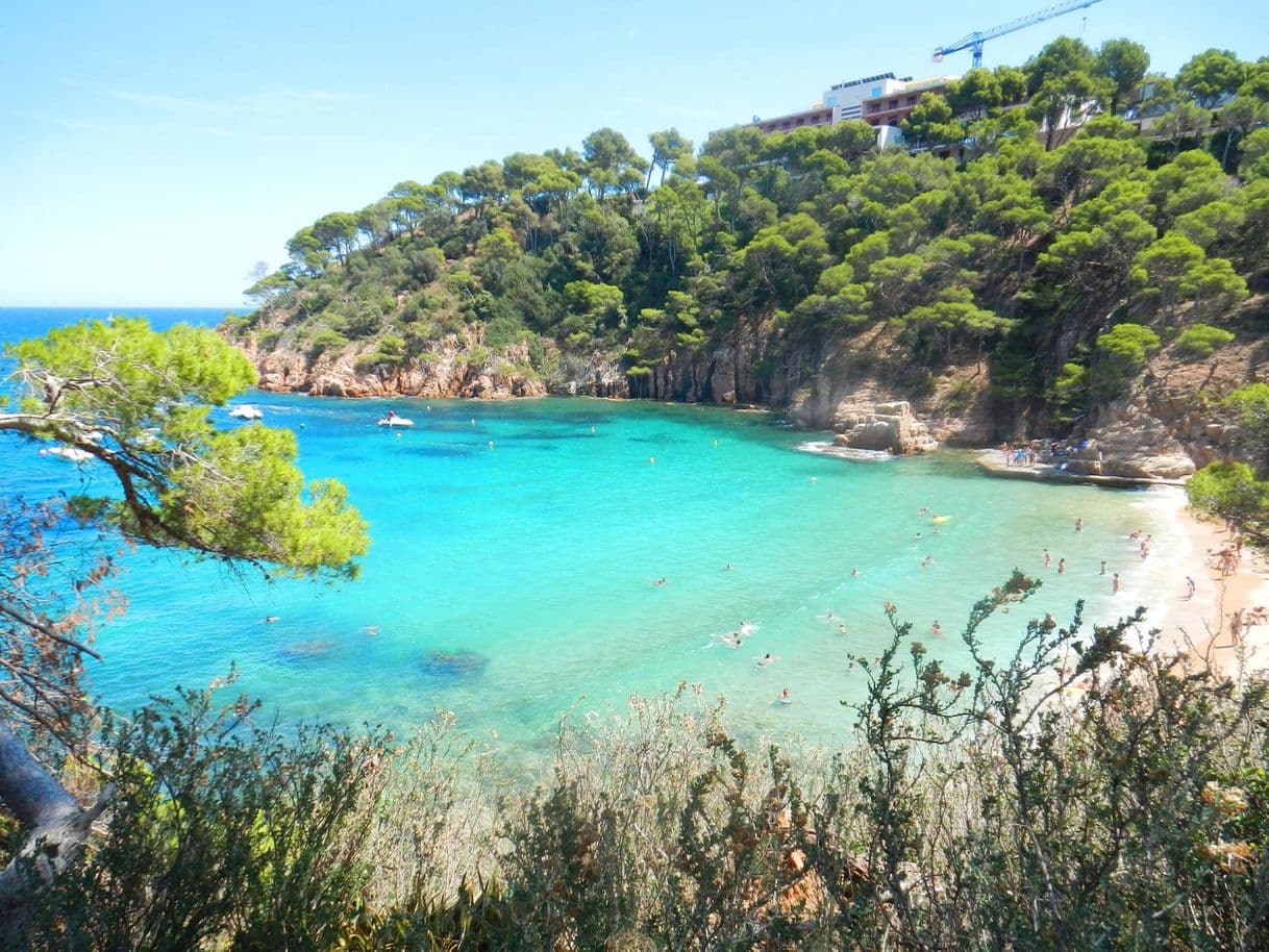 Restaurants Playa Cala Aiguablava