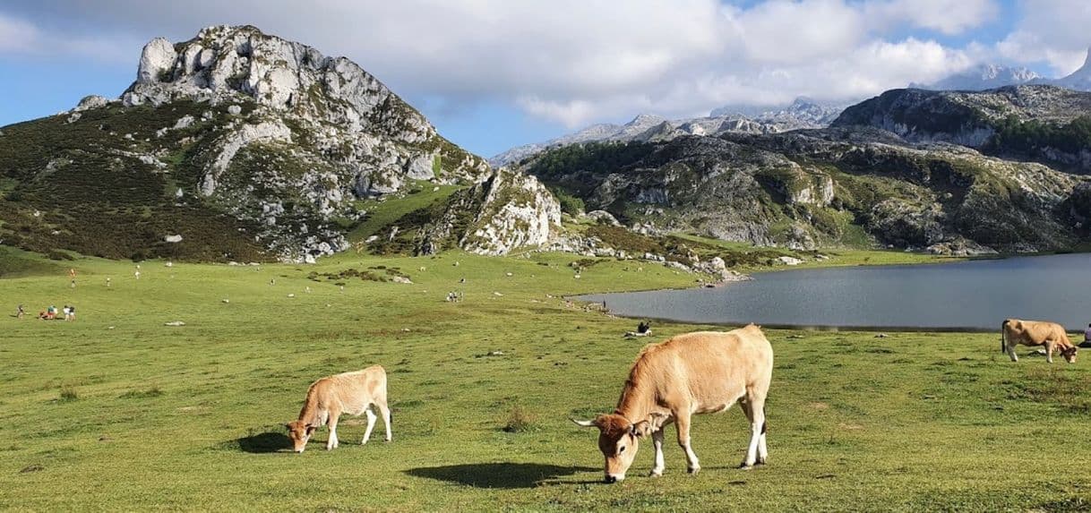 Place Lagos de Covadonga