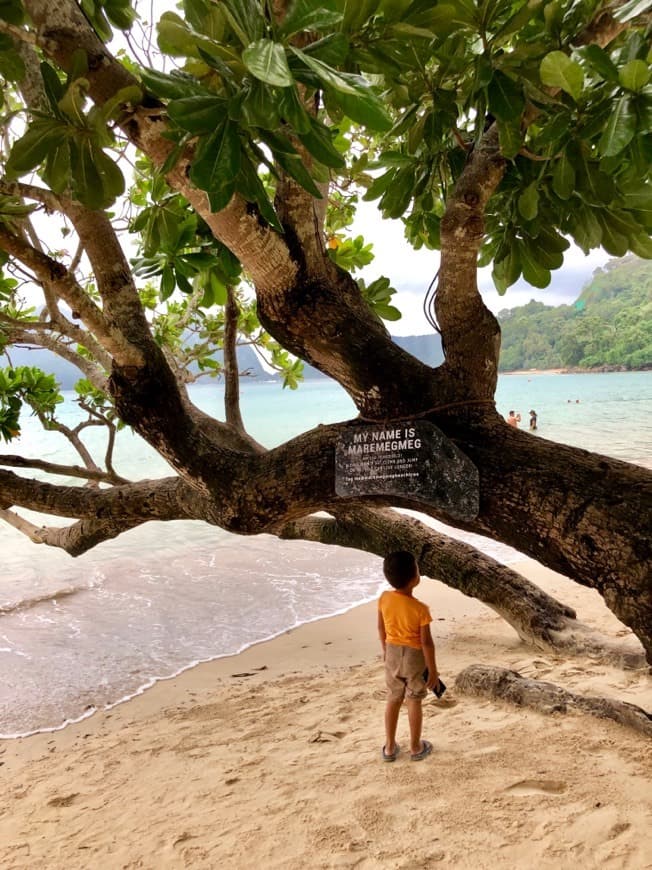 Lugar Las Cabañas Beach