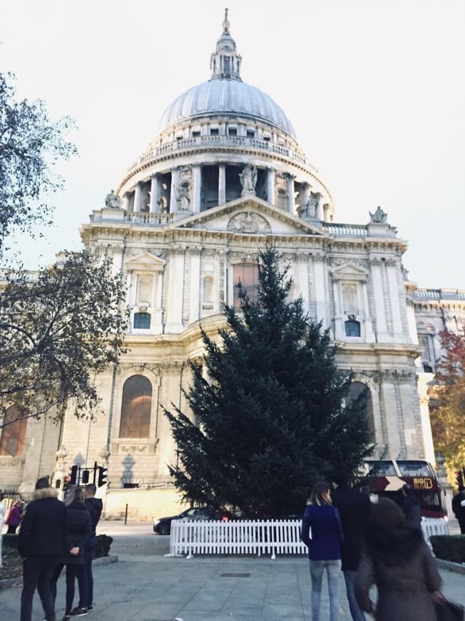 Place Catedral de Saint Paul