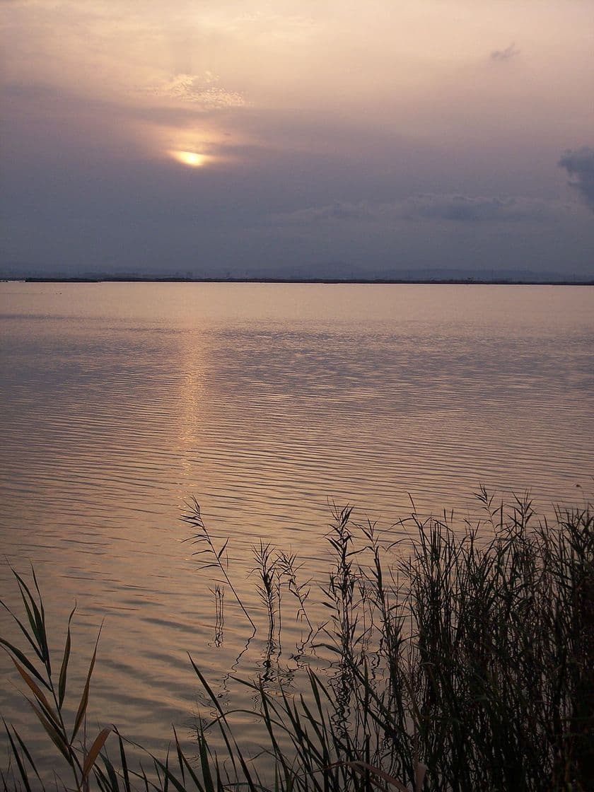 Place Albufera de Valencia