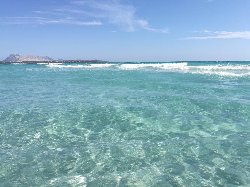 Place Spiaggia La Cinta