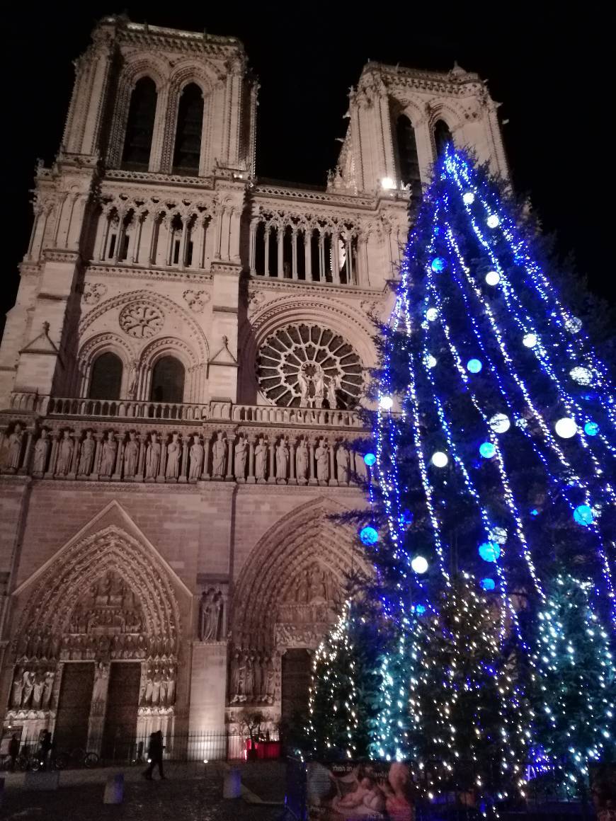 Place Catedral de Notre Dame