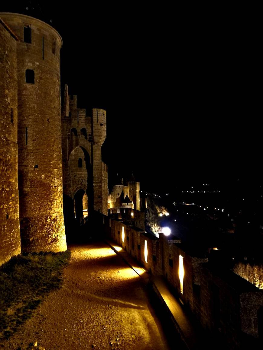 Place Carcassonne