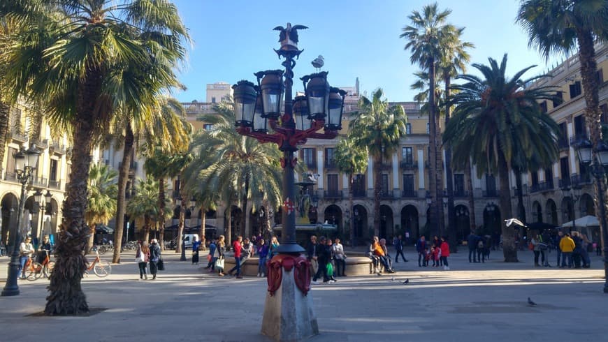 Lugar Plaça Reial