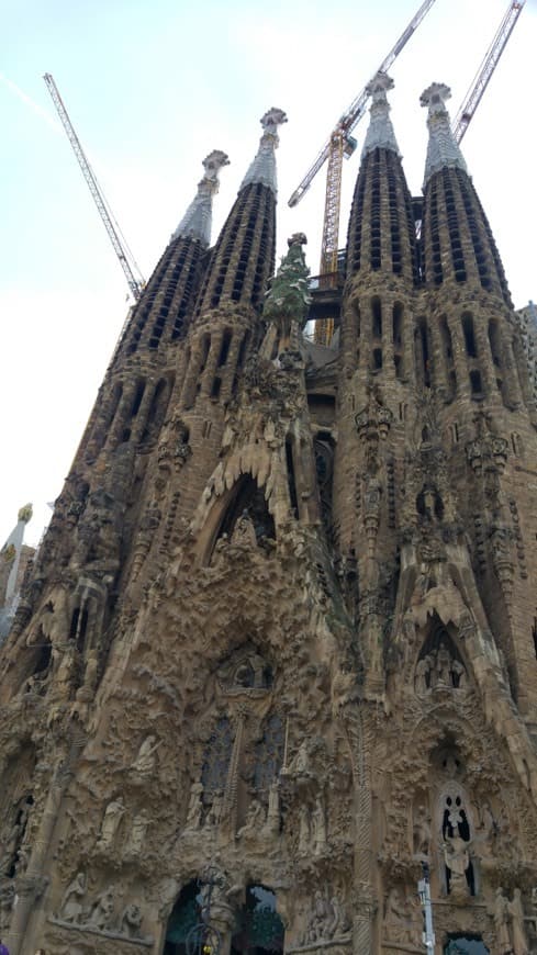 Lugar Basílica Sagrada Familia