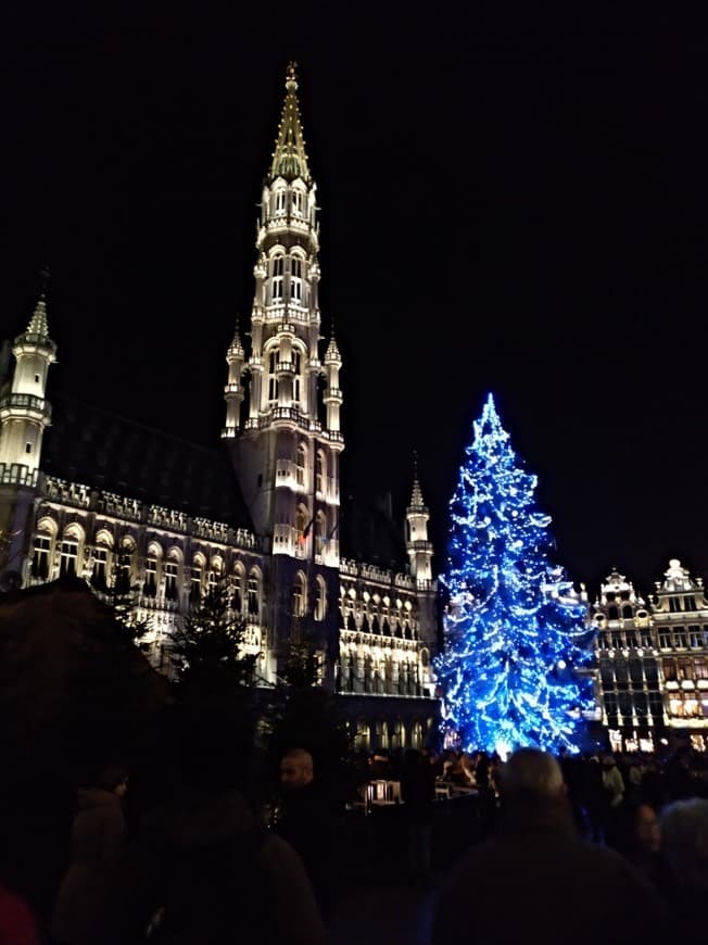 Lugar Bruselas