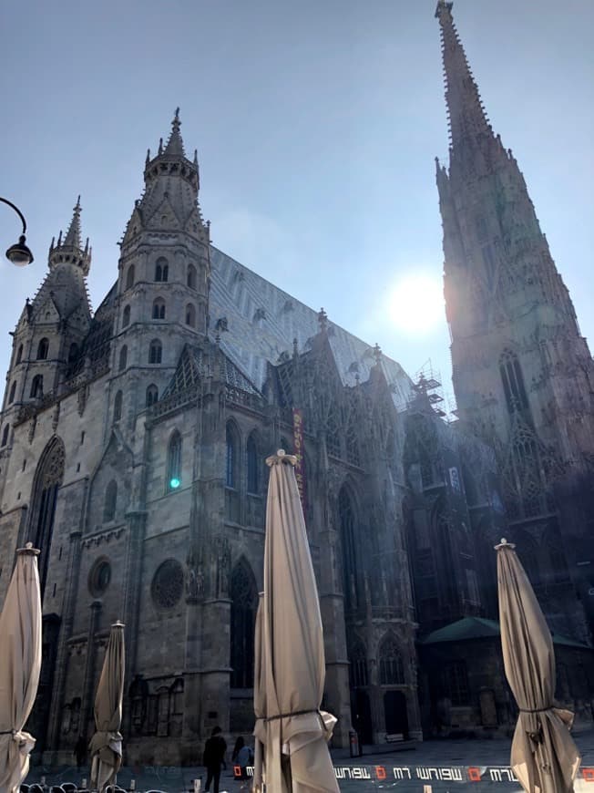 Lugar Catedral de Viena