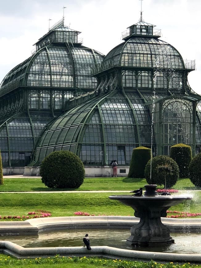 Lugar Palmenhaus