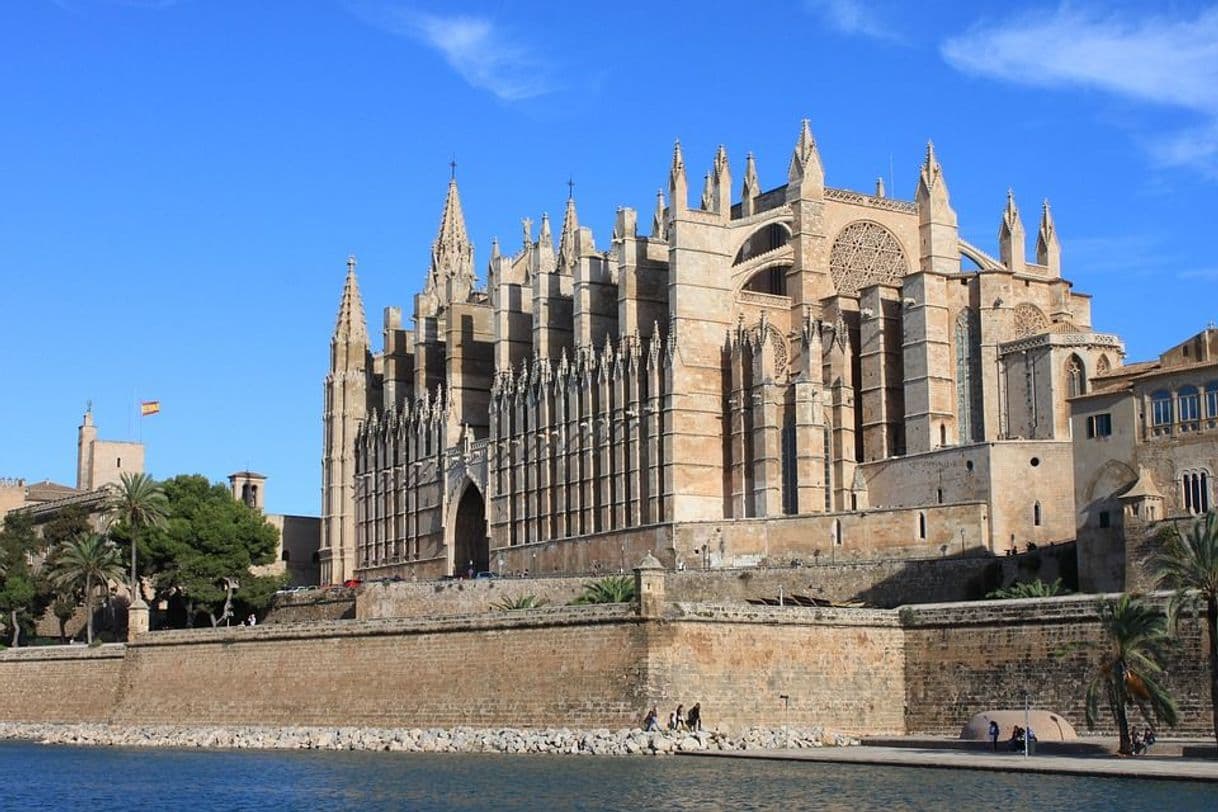 Place Catedral-Basílica de Santa María de Mallorca