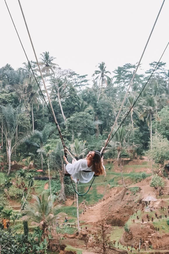 Lugar Tegallalang Rice Terrace