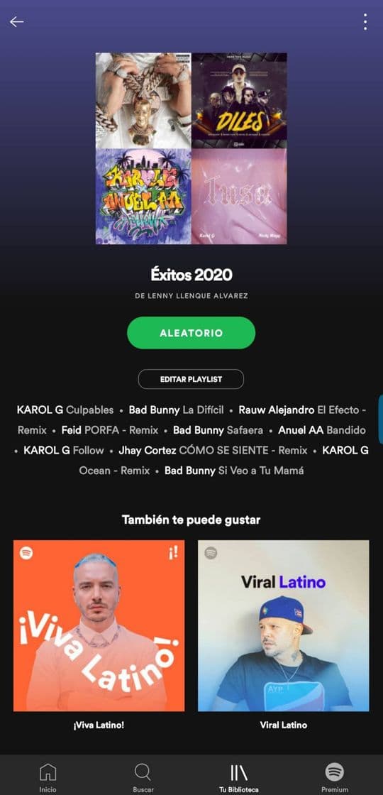 Canción La Mejor Playlist En Spotify 😎🥳💯🤘👌