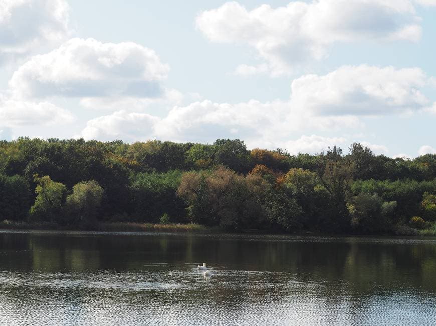 Place Jezioro Rusałka