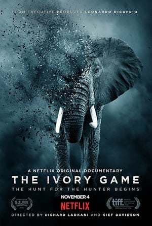 Película The Ivory Game