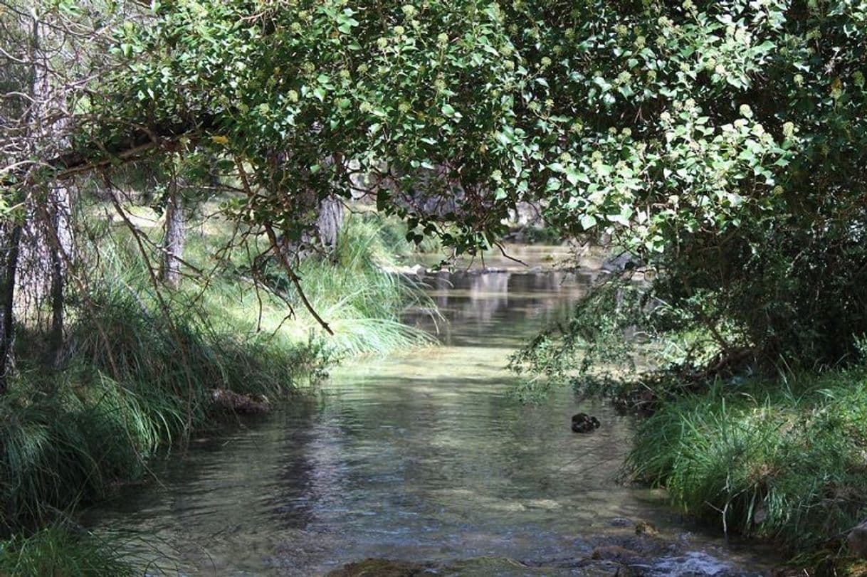 Place Cuevas de las higueras Peralta