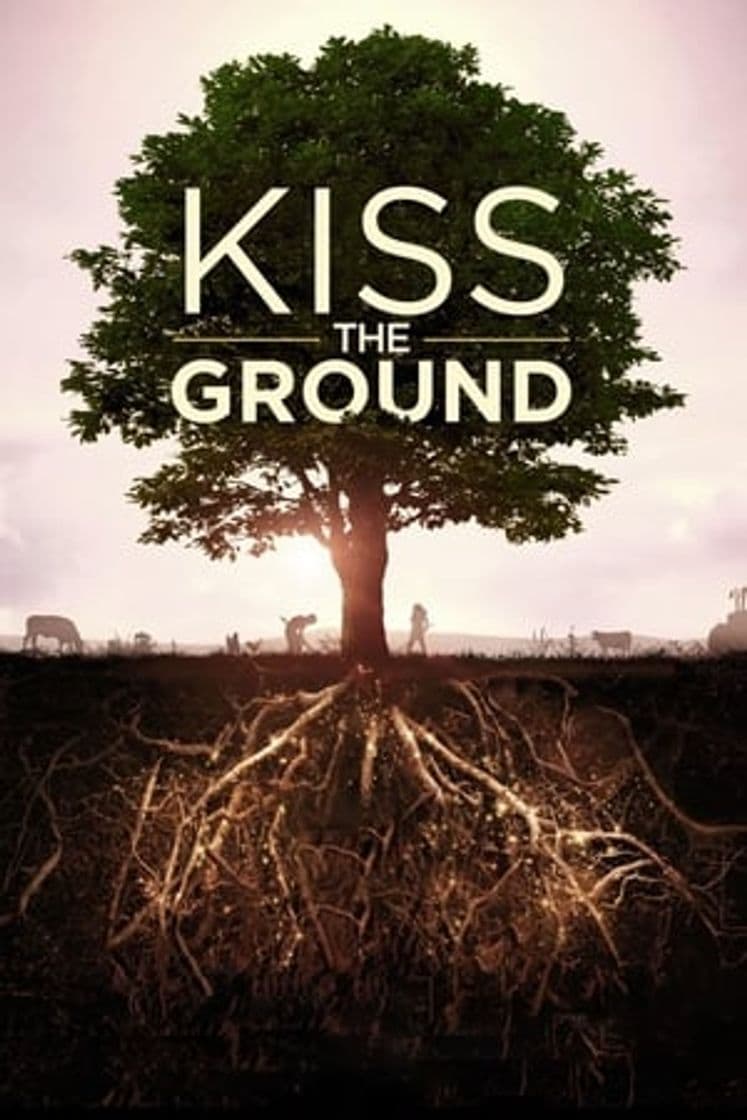 Película Kiss the Ground